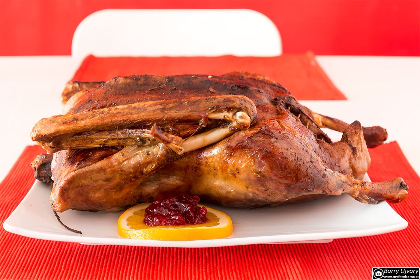 Martini Gans